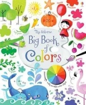 Big Book of Colors by Brooks, Felicity