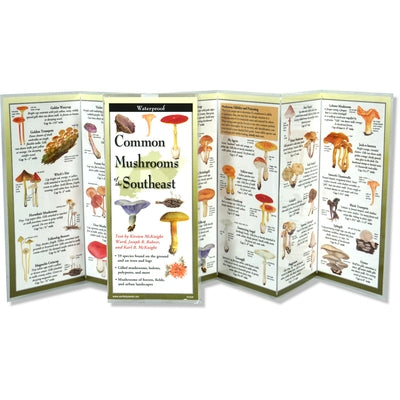 Common Mushrooms of the Southeast by McKnight Ward, Kirsten