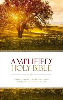 Amplified Bible-Am: Captures the Full Meaning Behind the Original Greek and Hebrew by Zondervan