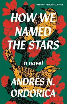 How We Named the Stars by Andrés N. Ordorica